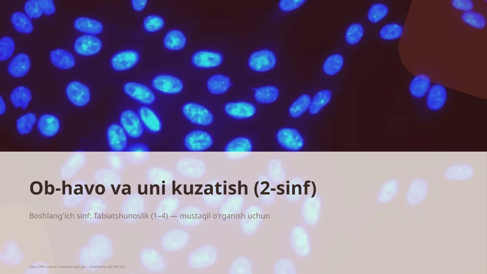 Ob-havo va uni kuzatish (2-sinf) 1