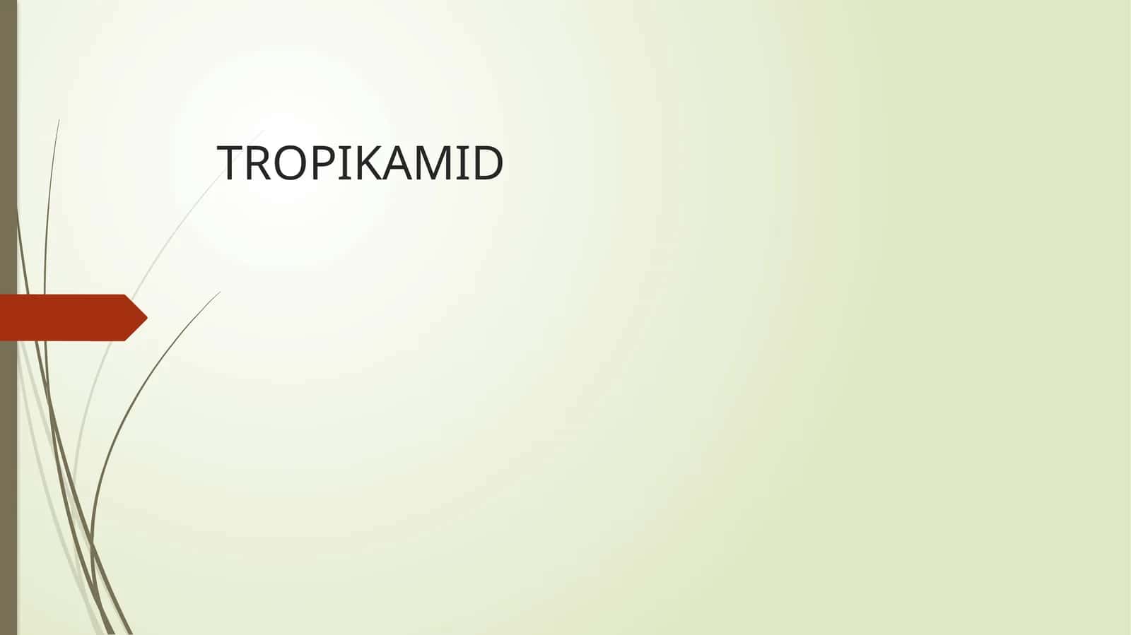 TROPIKAMID 1