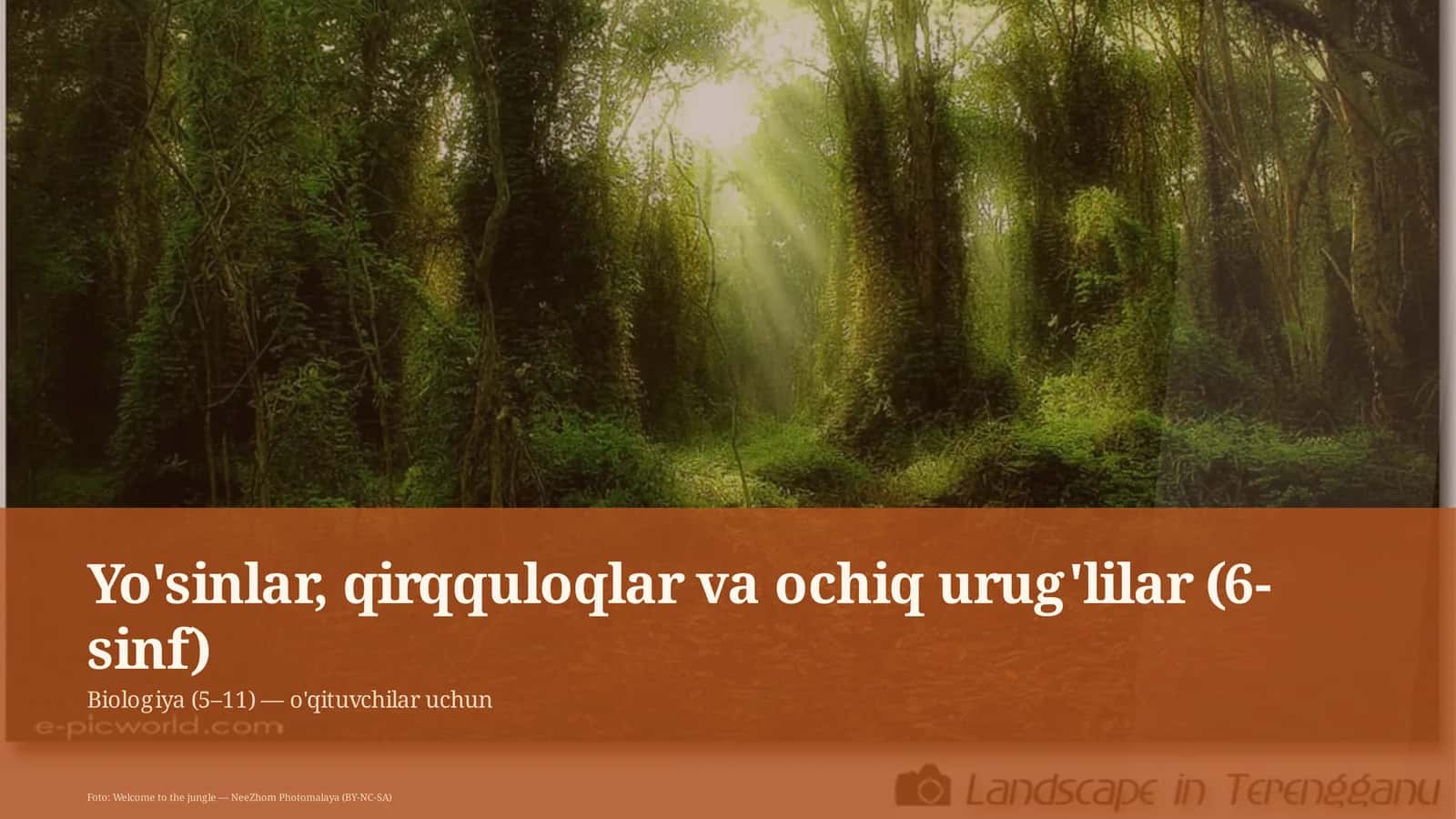 Yo'sinlar, qirqquloqlar va ochiq urug'lilar (6-sinf) 1