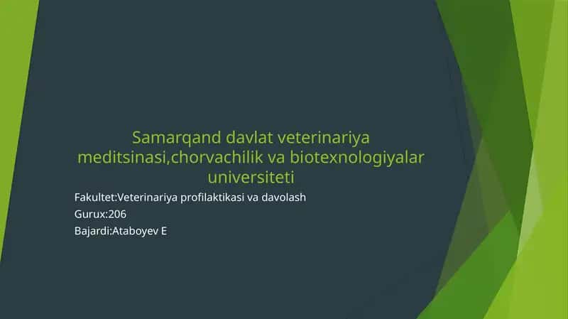 Fermentlar biokimyosi 1