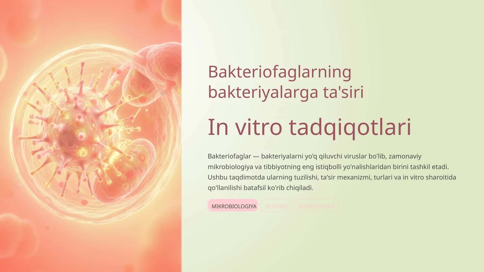 Bakteriofaglarning bakteriyalarga ta'siri 1