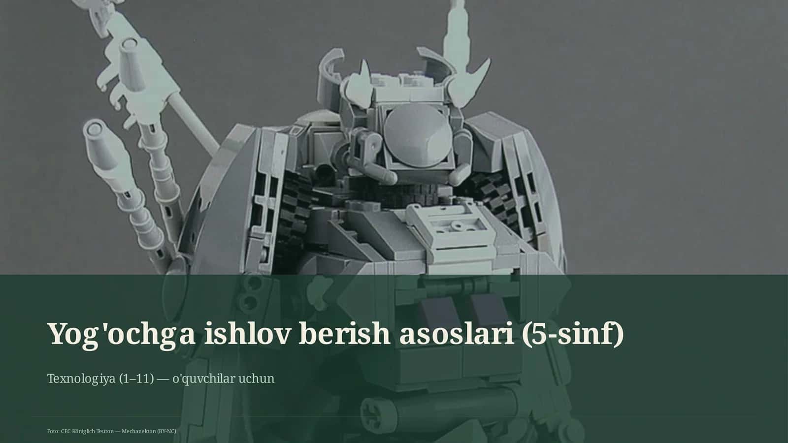 Yog'ochga ishlov berish asoslari (5-sinf) 1
