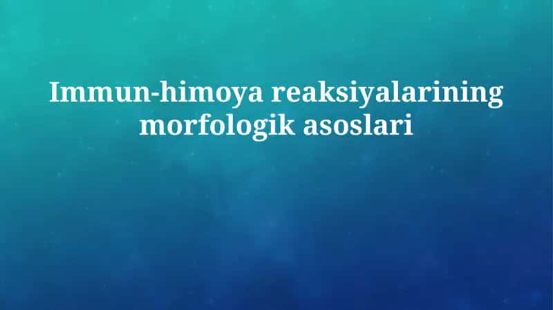 Immun-himoya reaksiyalarining morfologik asoslari 1