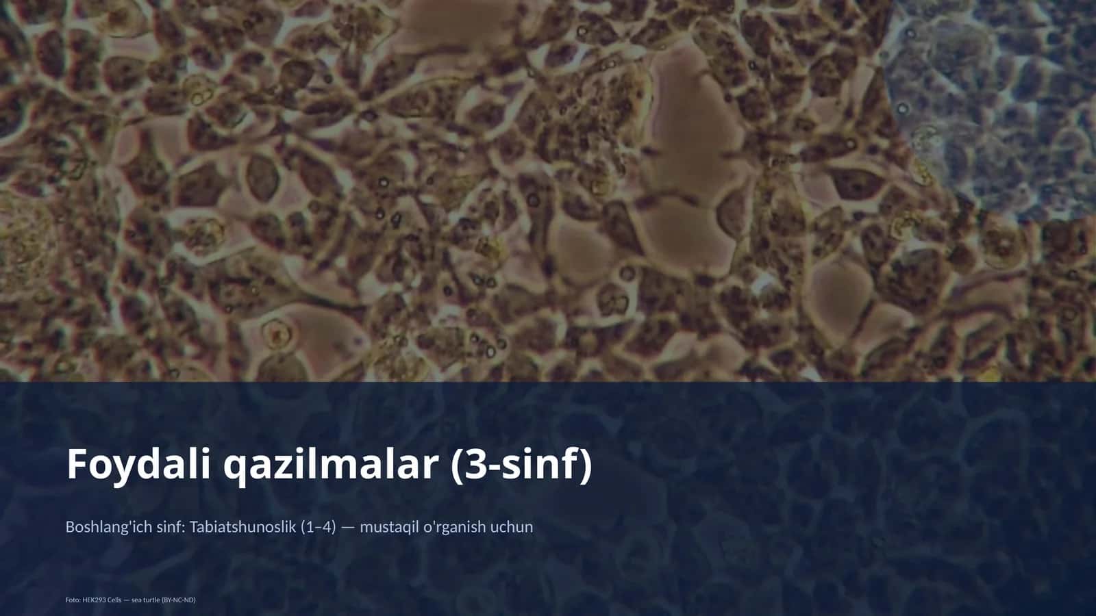 Foydali qazilmalar (3-sinf) 1