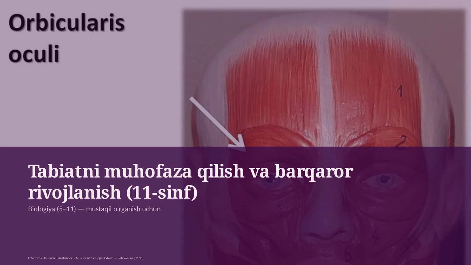 Tabiatni muhofaza qilish va barqaror rivojlanish (11-sinf) 1