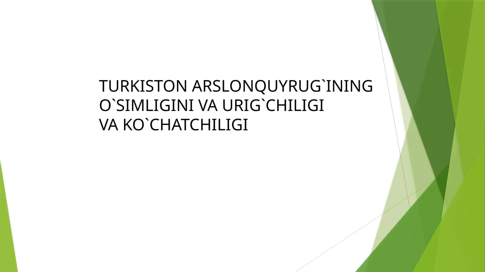 Turkiston Arslonquyrug`ining O`simligini va Urig`chiligi 1