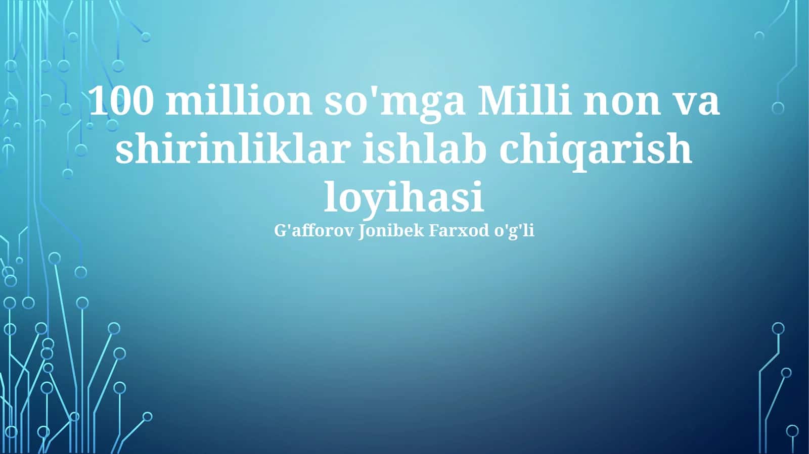 100 million so'mga Milli non va shirinliklar ishlab chiqarish loyihasi 1