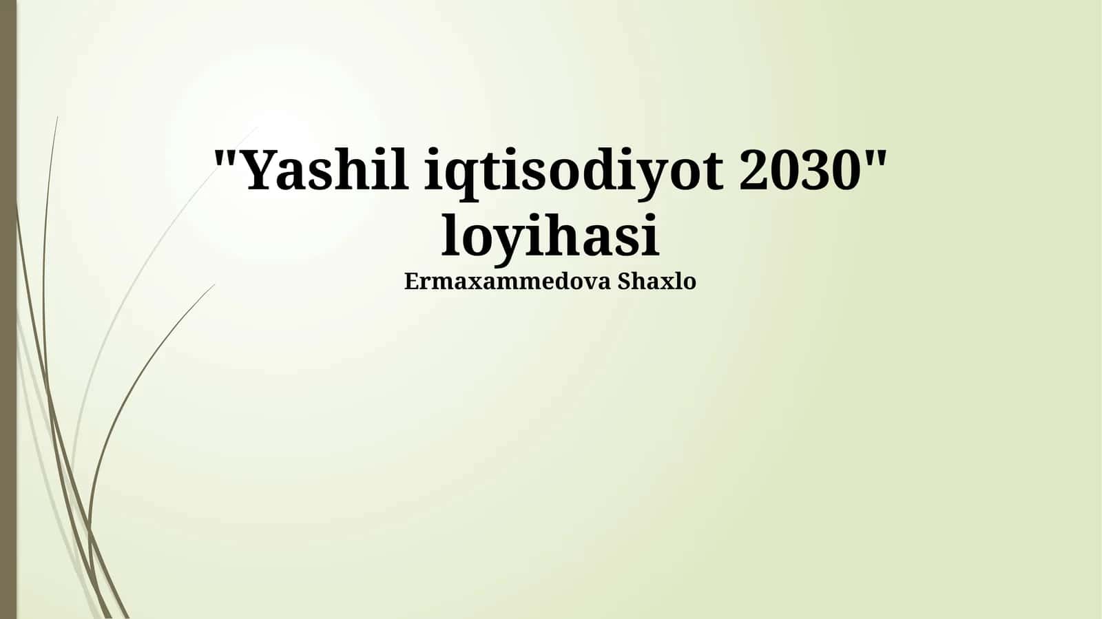 Yashil iqtisodiyot 2030 loyihasi 1