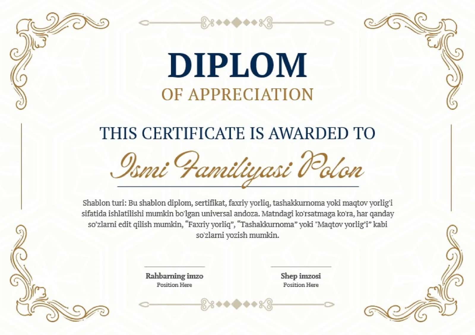 DIPLOM 1