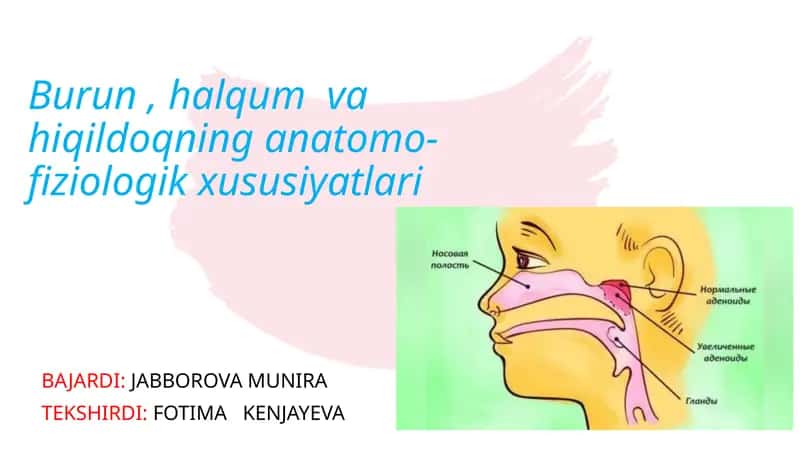 Burun, halqum va hiqildoqning anatomo-fiziologik xususiyatlari 1