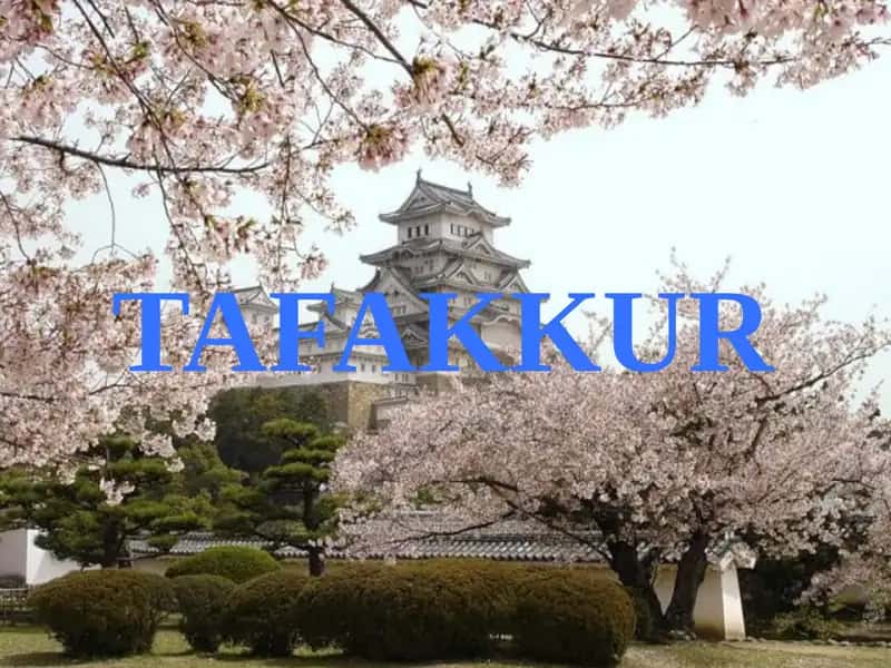 Tafakkur 1