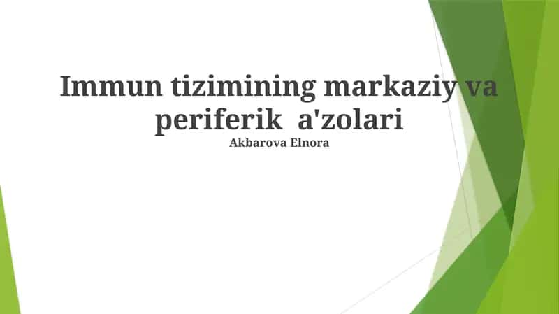 Immun tizimining markaziy va periferik a'zolari 1