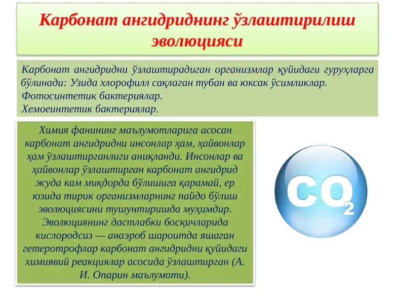 Карбонат ангидриднинг ўзлаштирилиши эволюцияси 1