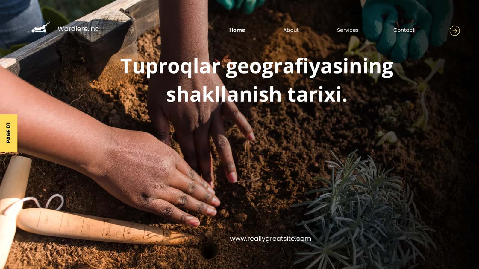 Tuproqlar geografiyasining shakllanish tarixi 1