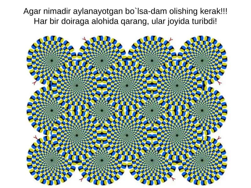 ong nimaga qodir 1