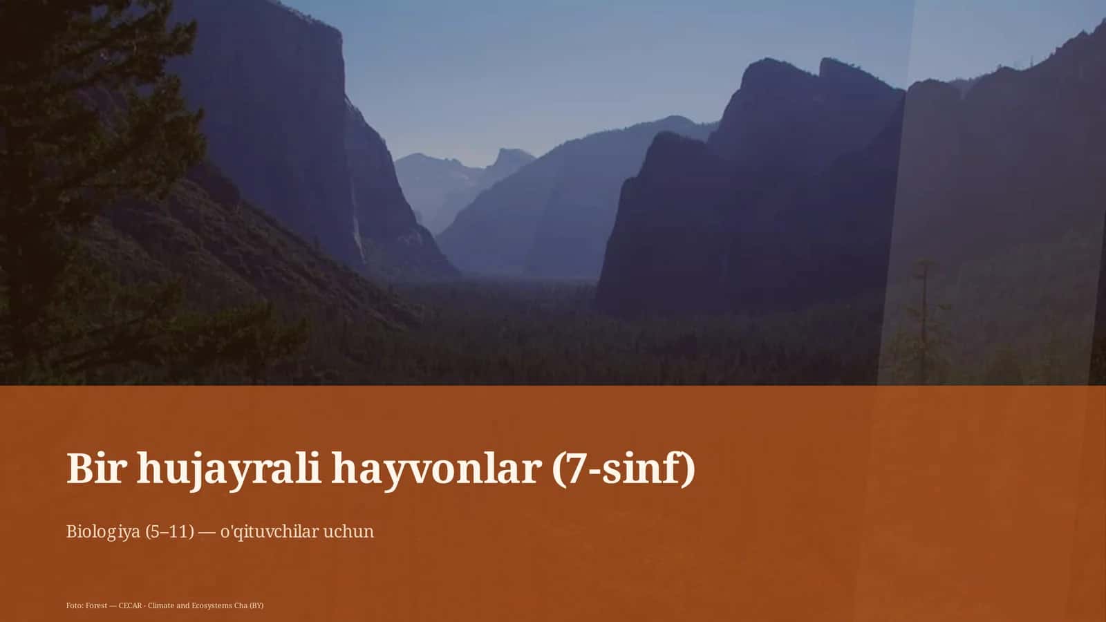 Bir hujayrali hayvonlar (7-sinf) 1