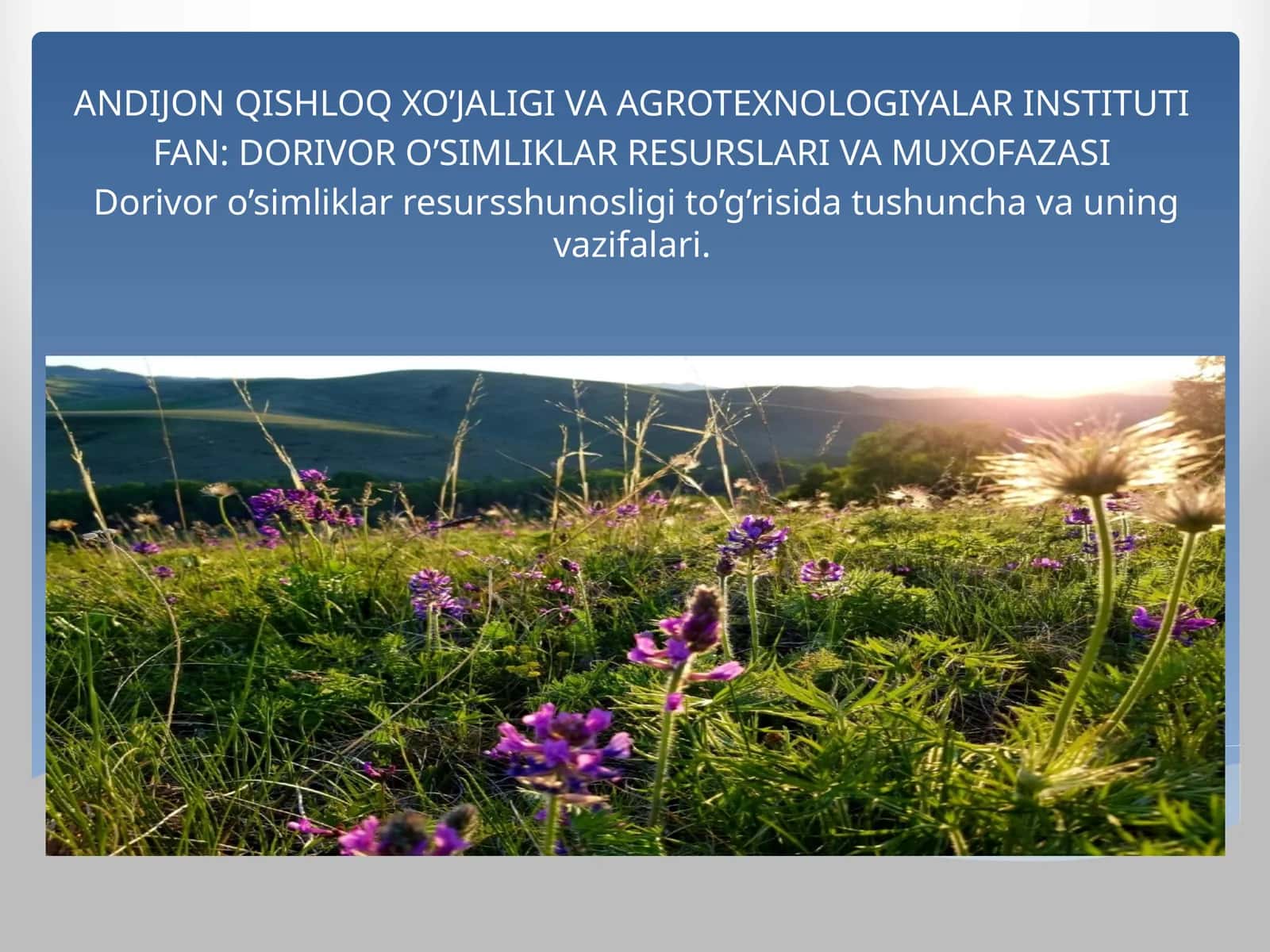 DORIVOR O’SIMLIKLAR RESURSLARI VA MUXOFAZASI 1