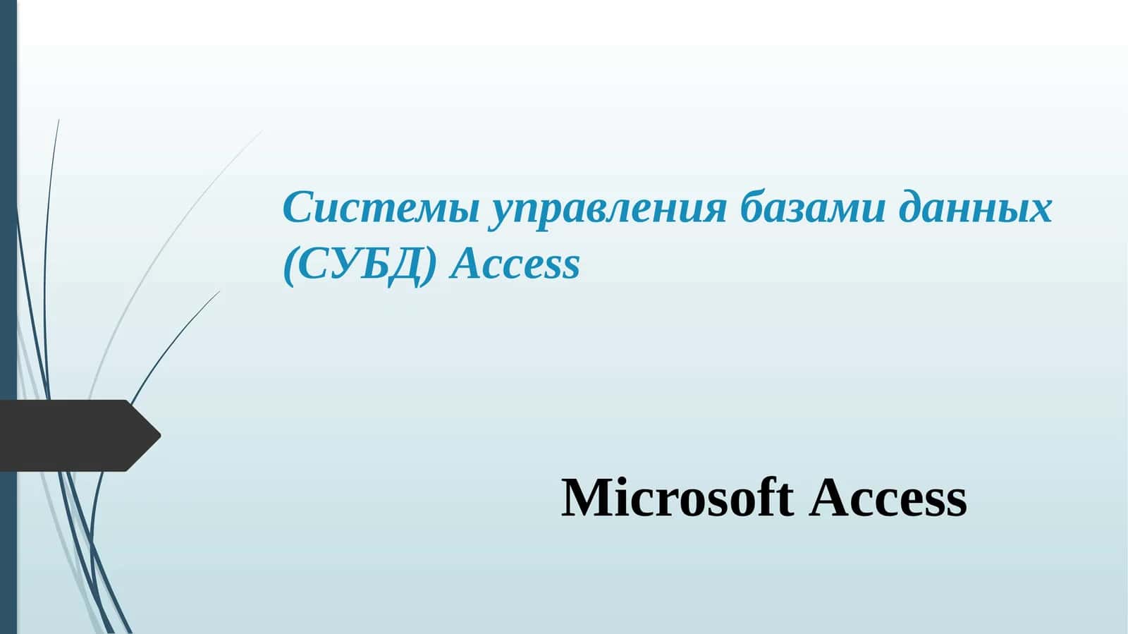 Microsoft Access 1