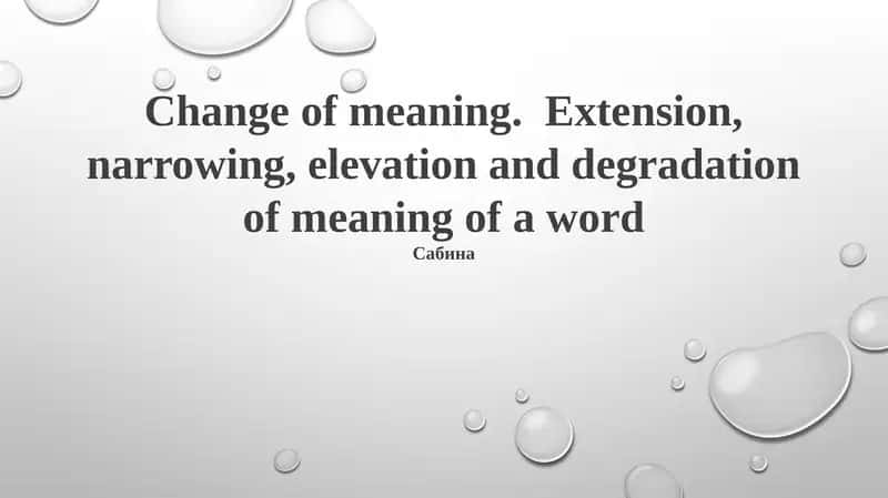 Understanding Semantic Change: Types and Mechanisms 1