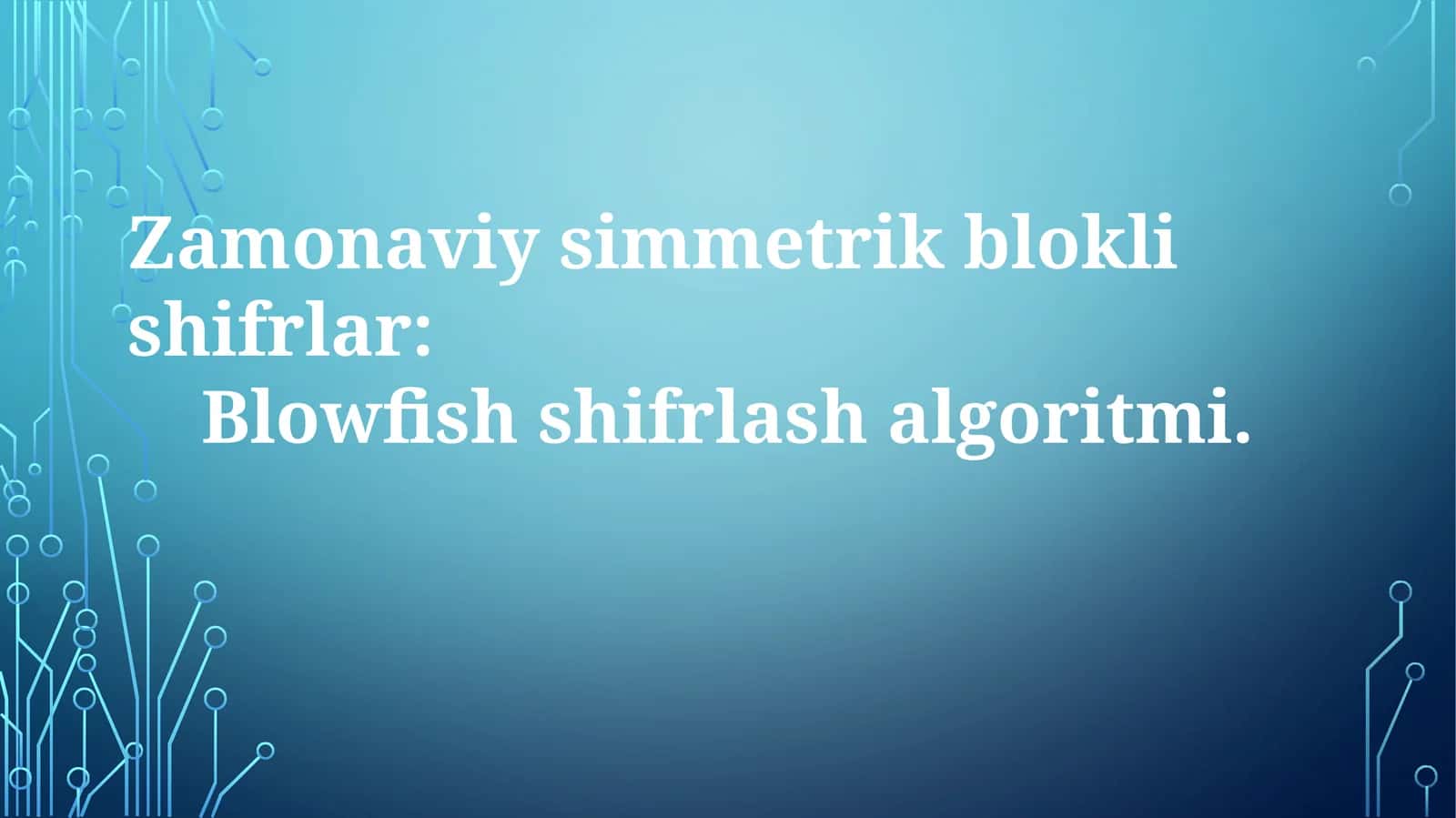 Blowfish shifrlash algoritmi 1