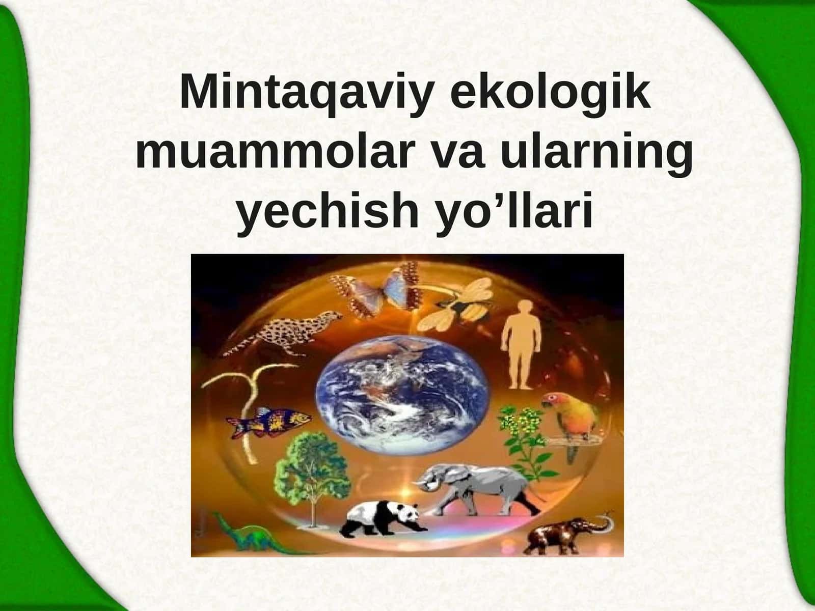 Mintaqaviy ekologik muammolar va ularning yechish yo'llari 1