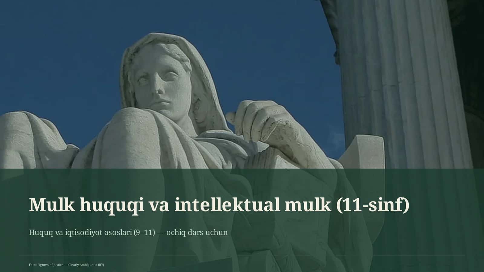 Mulk huquqi va intellektual mulk (11-sinf) 1