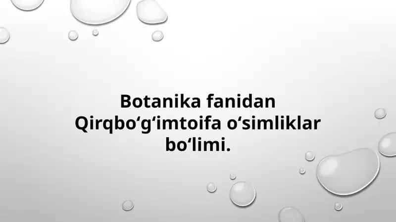 QIRQBO'G'IMTOIFA O'SIMLIKLAR EVALUTSIYASI 1