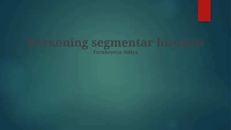 Korxoning segmentar hisoboti 1