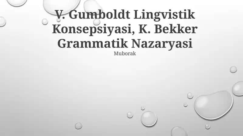 V. Gumboldt Lingvistik Konsepsiyasi, K. Bekker Grammatik Nazaryasi 1
