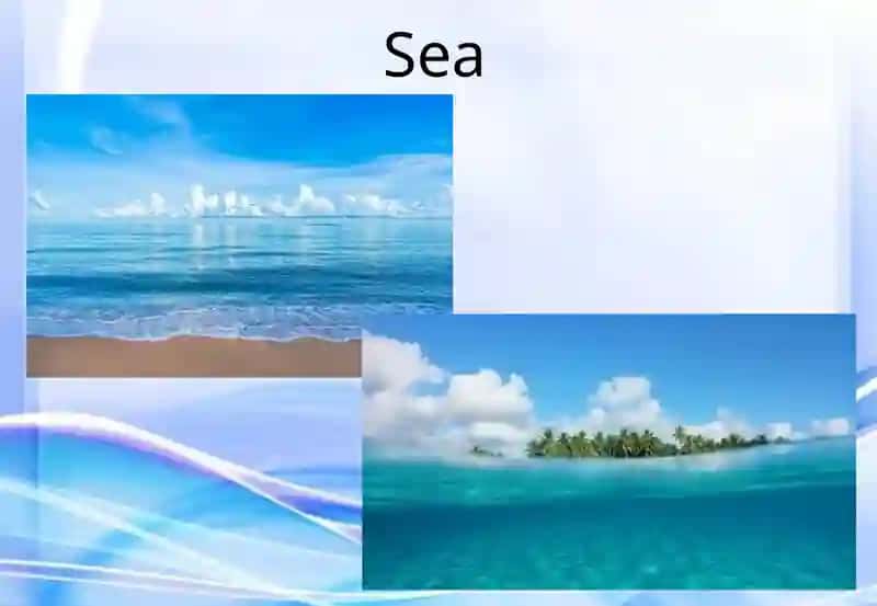 Sea