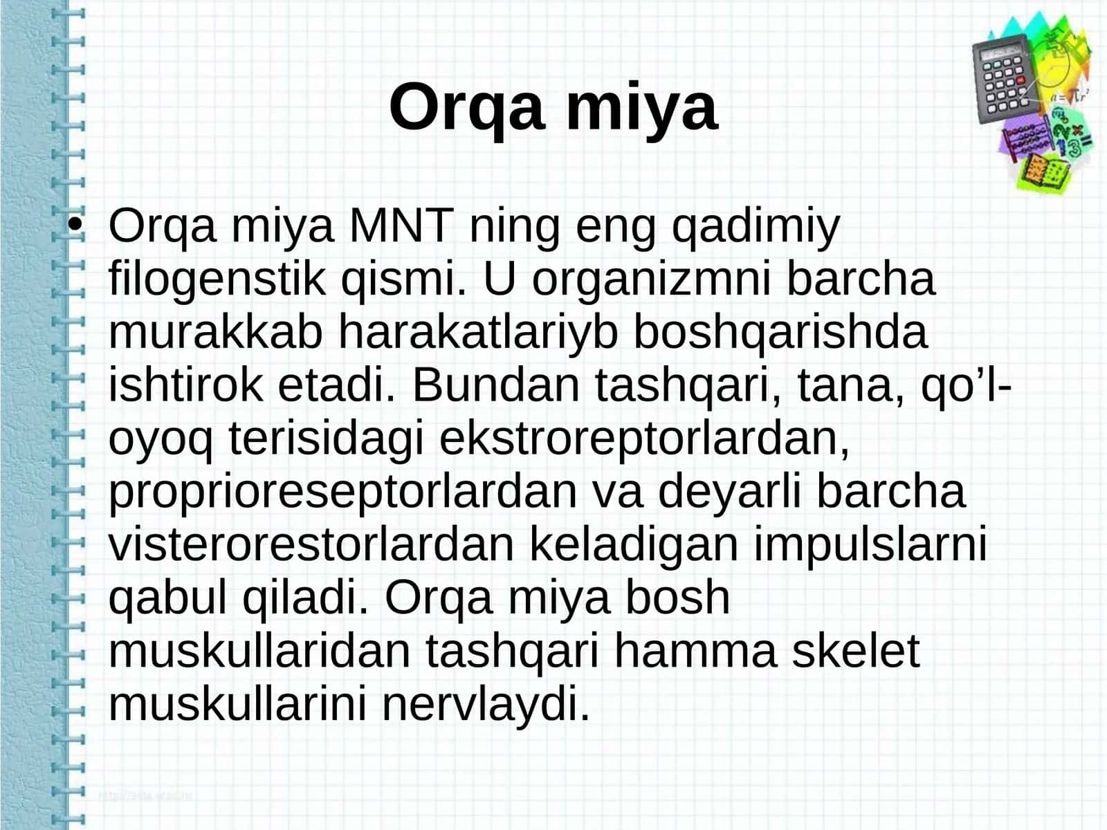 Orqa miya 1