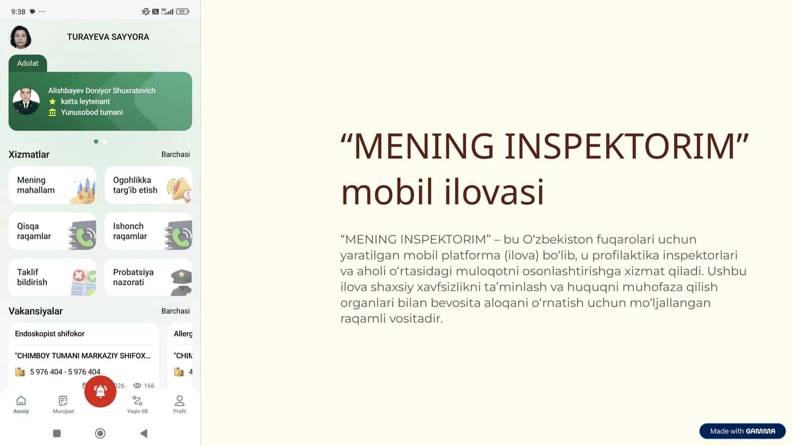 MENING INSPEKTORIM 1