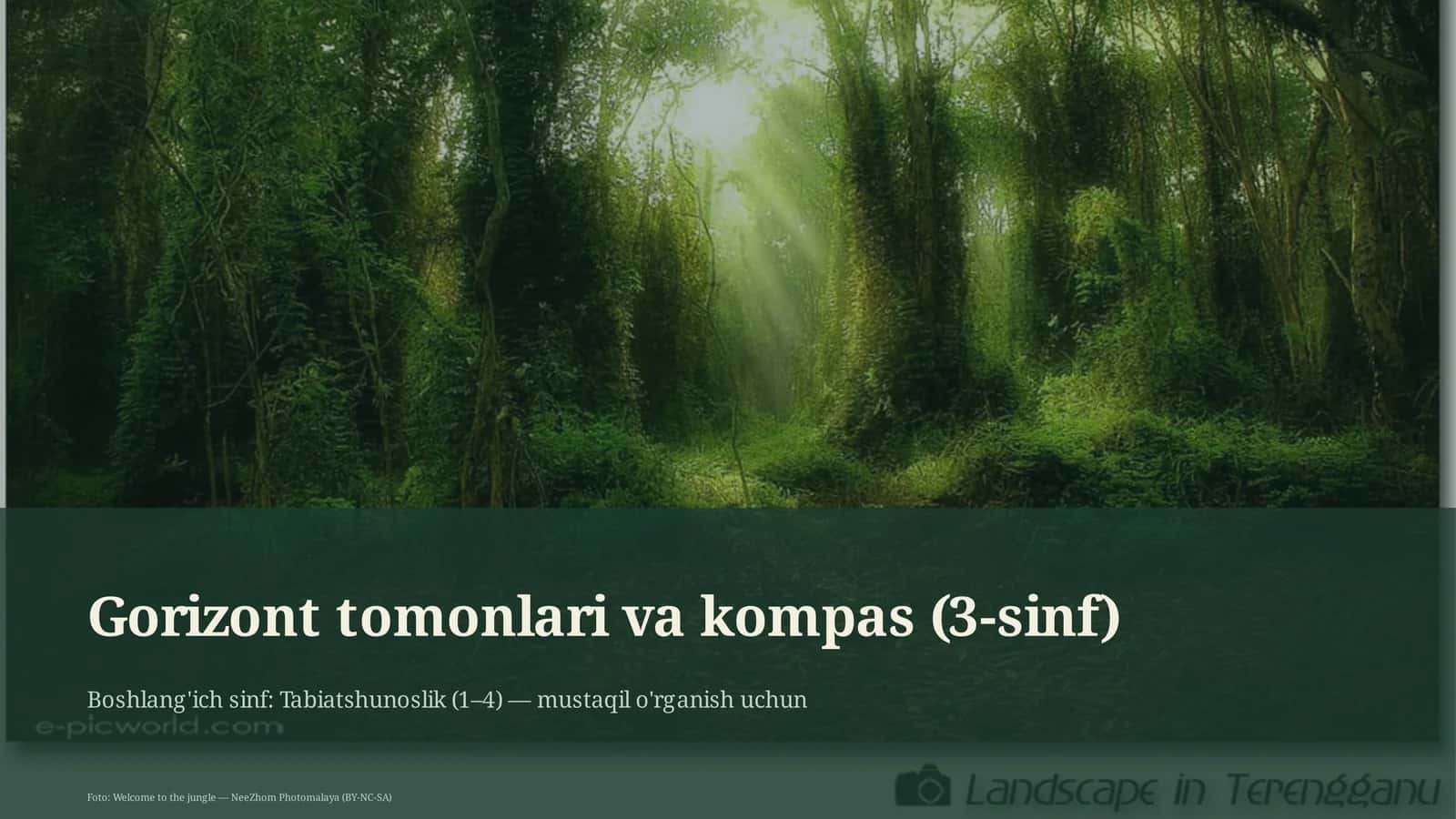 Gorizont tomonlari va kompas (3-sinf) 1