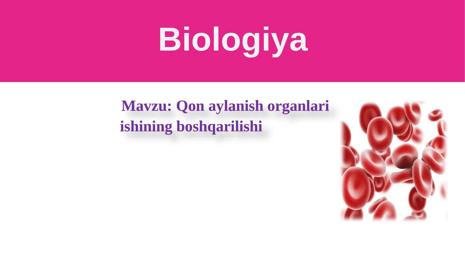 Qonaylanish Organlari Ishini Boshqarilishi 1