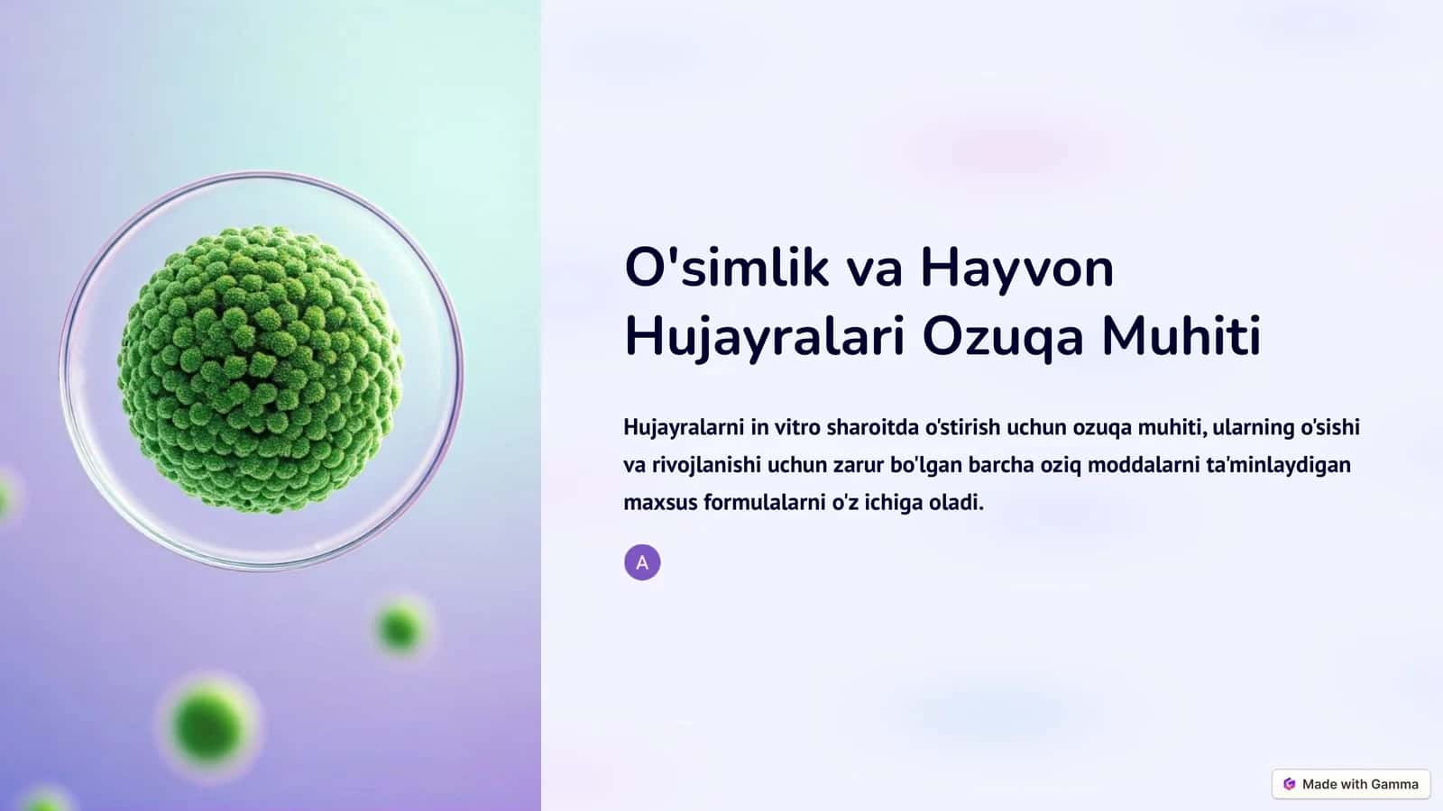O'simlikva hayvon hujayralari uchun ozuqa muhitlari 1