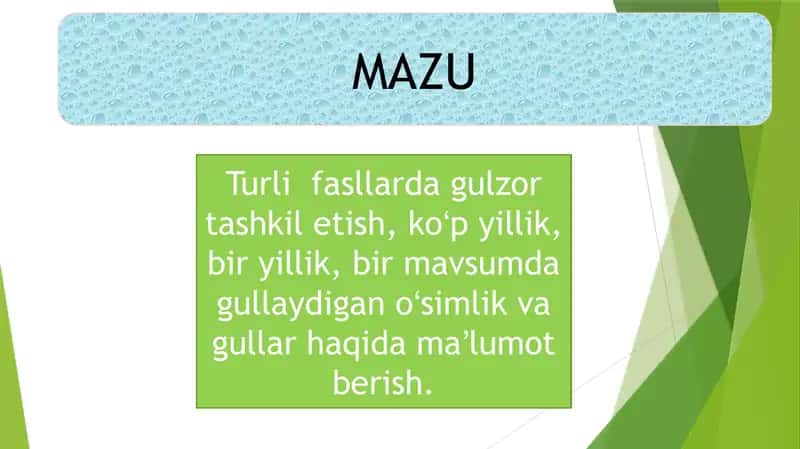 Turli fasillarda gulzor tashkil etish ko'b yillik, bir yillik, bir mavsumda gullaydigan o'simliklar 1