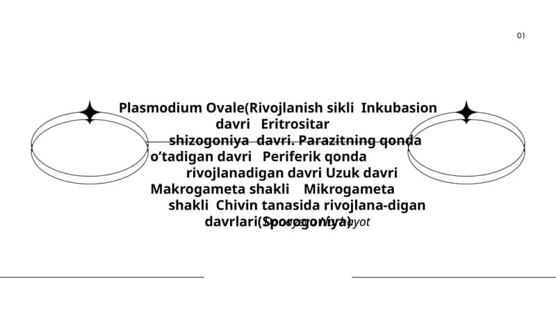 Plasmodium Ovale 1