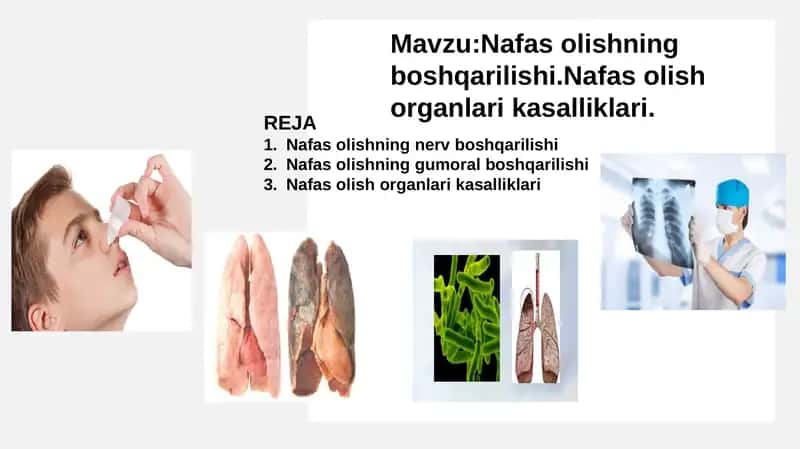 Nafas olish sistemasi va nafas olish sistemasi kasalliklari 1