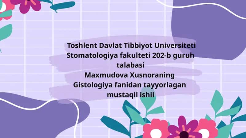 sut bezlari 1