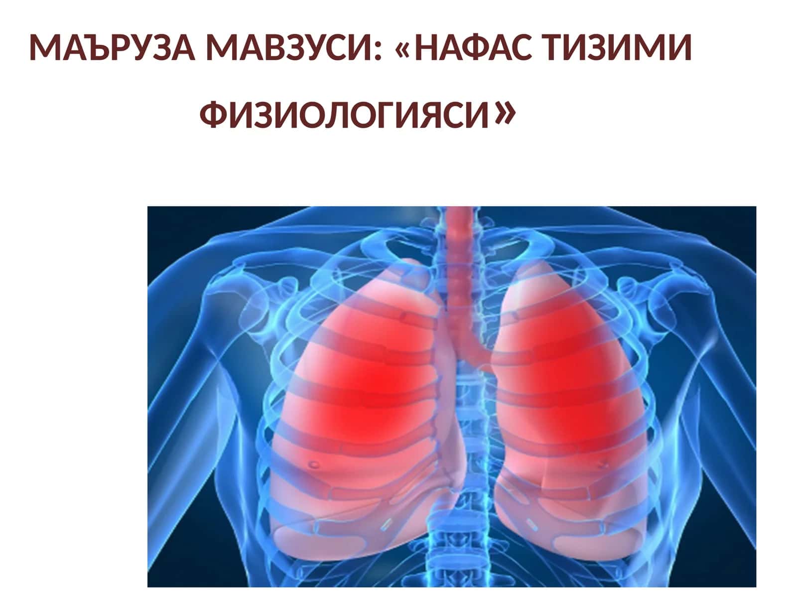 Нафастизими физиологияси 1