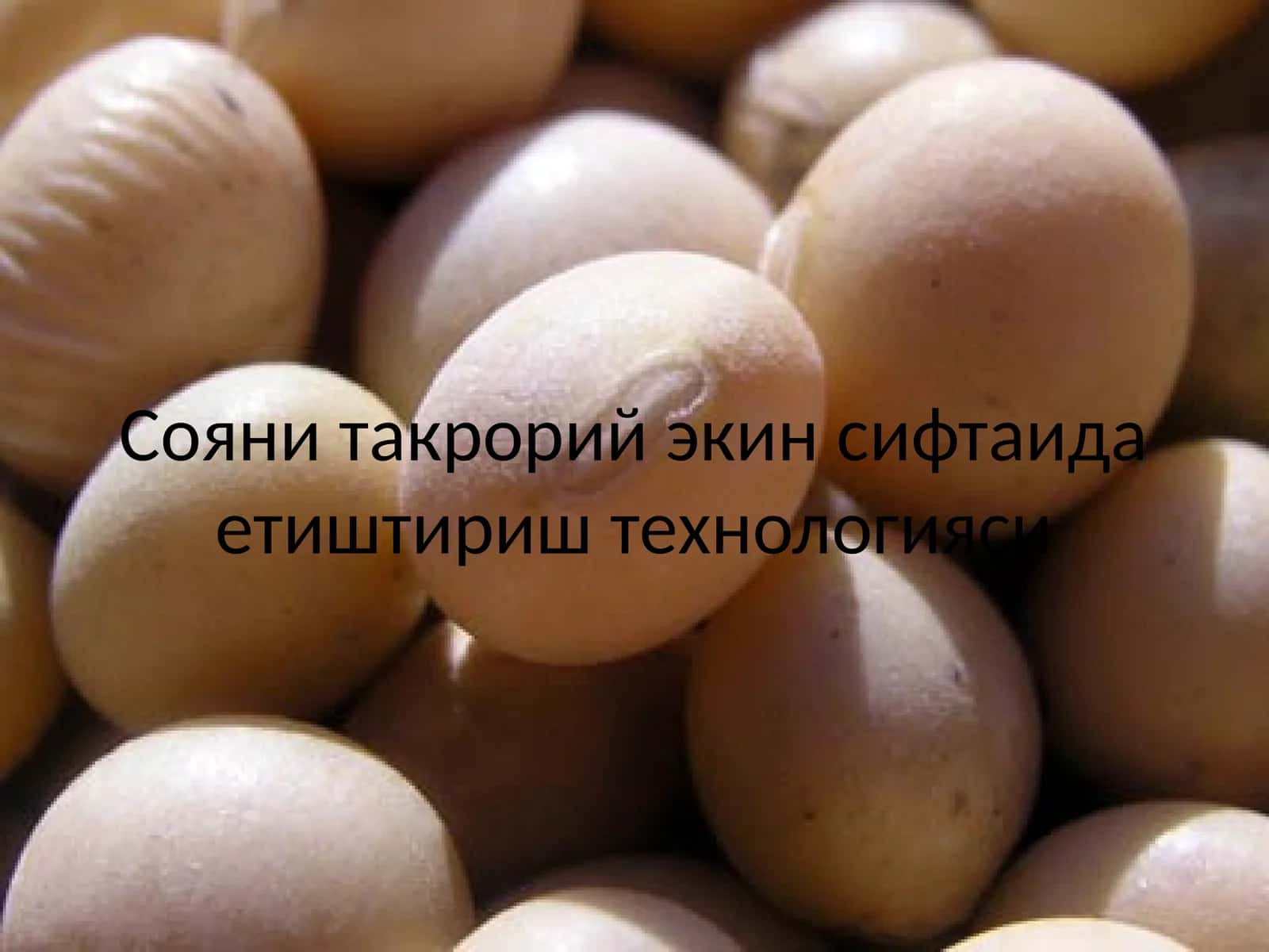 Сояни такрорий экин сифтаида етиштириш технологияси 1