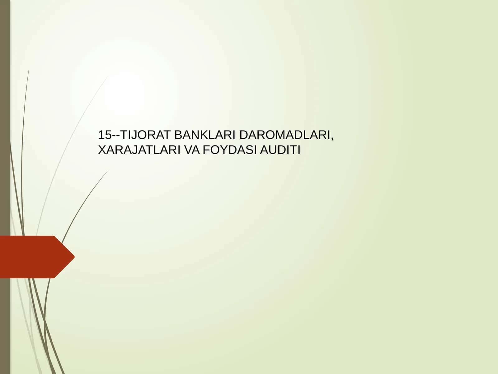 Tijorat Banklari Daromadlari, Xarajatlari va Foydasi Auditi 1