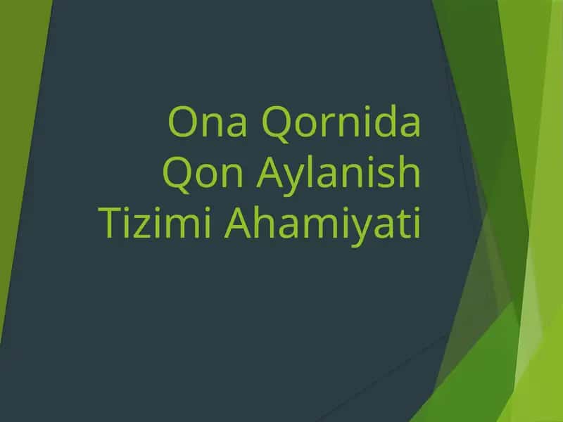 Ona-qornida qon aylanish tizimi 1