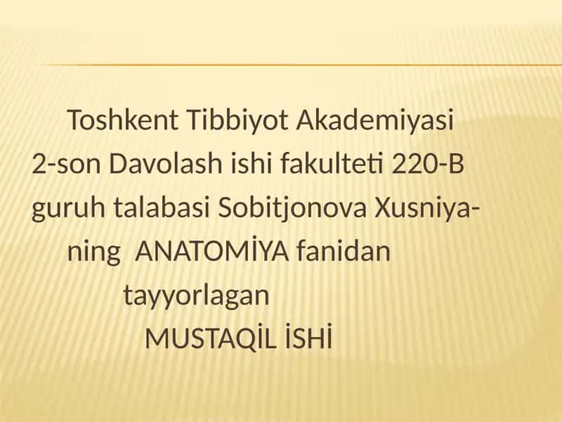 Бош мия пўстлоғи 1