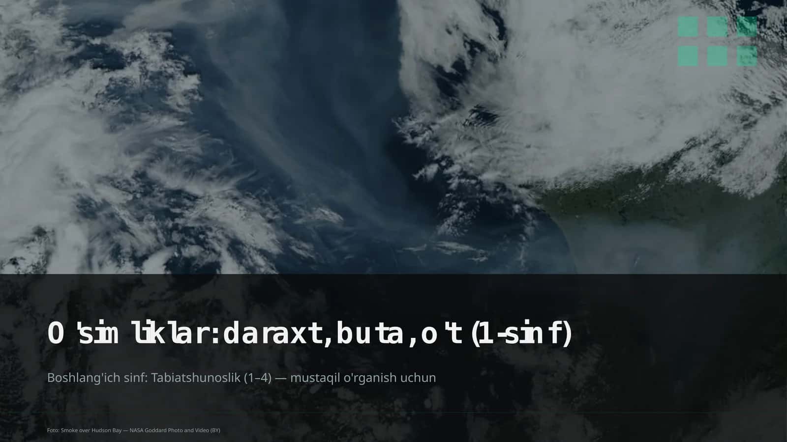 O'simliklar: daraxt, buta, o't (1-sinf) 1
