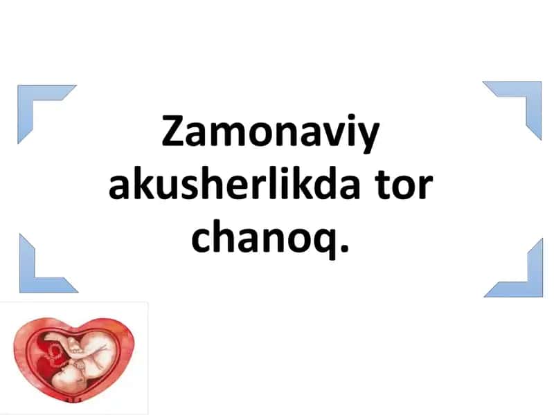 Tor chanoq anatomiyasi 1