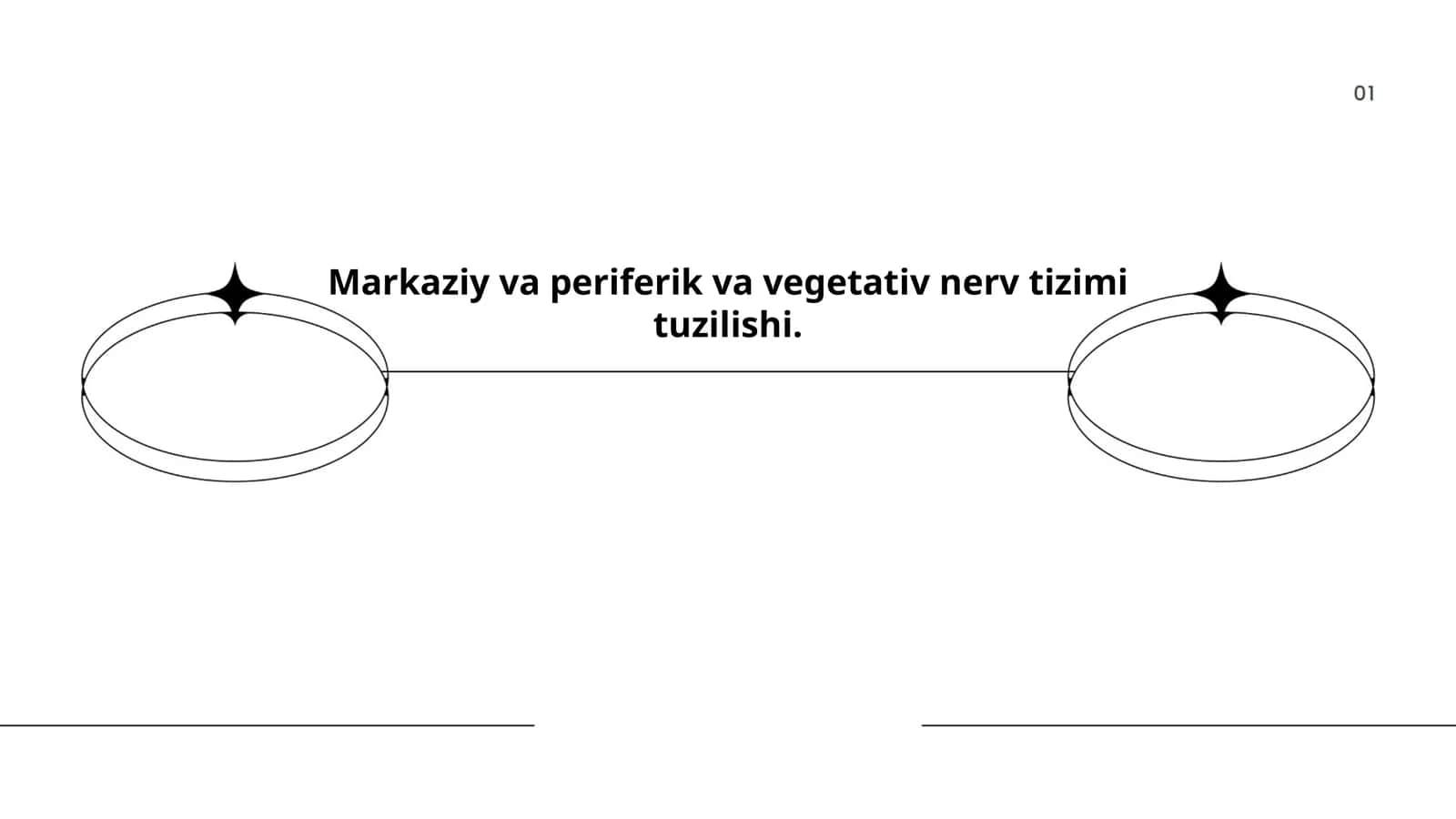 Markaziy va periferik va vegetativ nerv tizimi tuzilishi 1