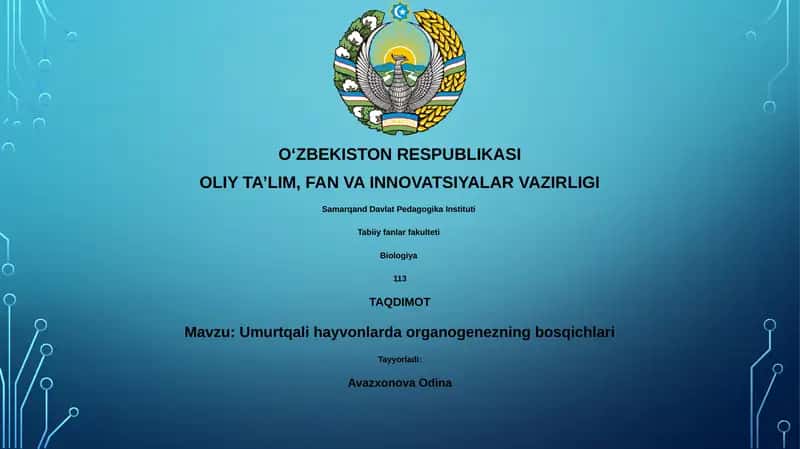 Umurtqali hayvonlarda organogenezning bosqichlari 1