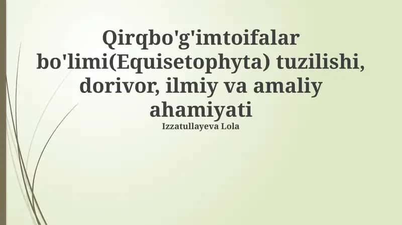 Equisetophyta 1