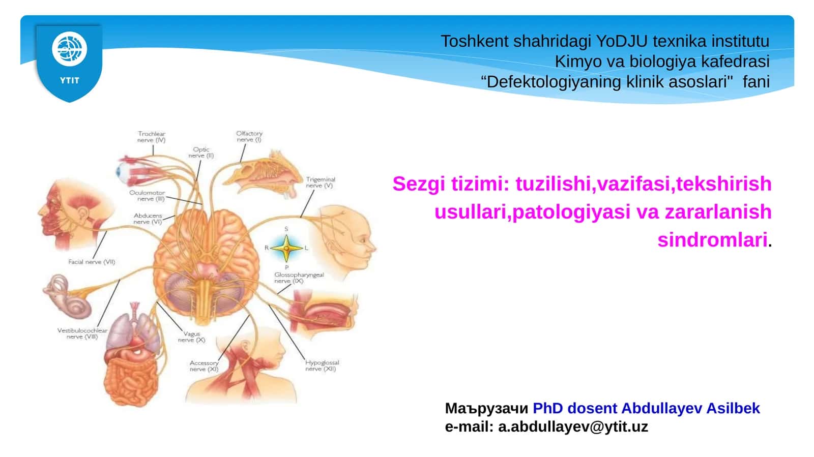 Sezgi tizimi: tuzilishi,vazifasi,tekshirish usullari,patologiyasi va zararlanish sindromlari 1